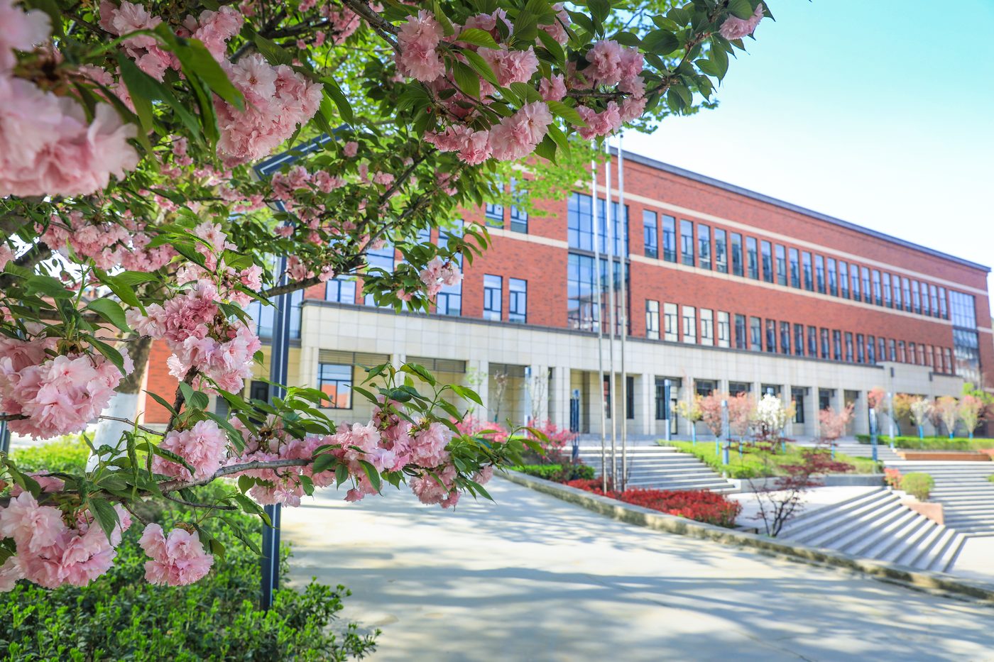春日教学楼与樱花，校园环境优美 · 陕西单招集训实拍